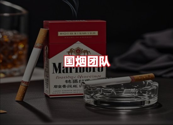 国烟团队